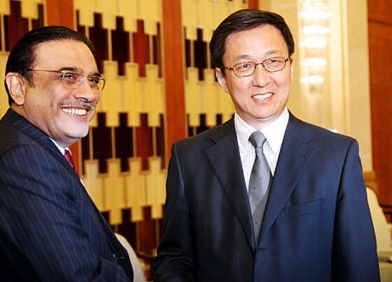 巴基斯坦总统会见中国国家副主席韩正