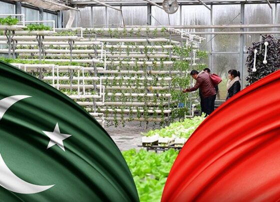 中巴农业合作通过种子技术交流加速发展