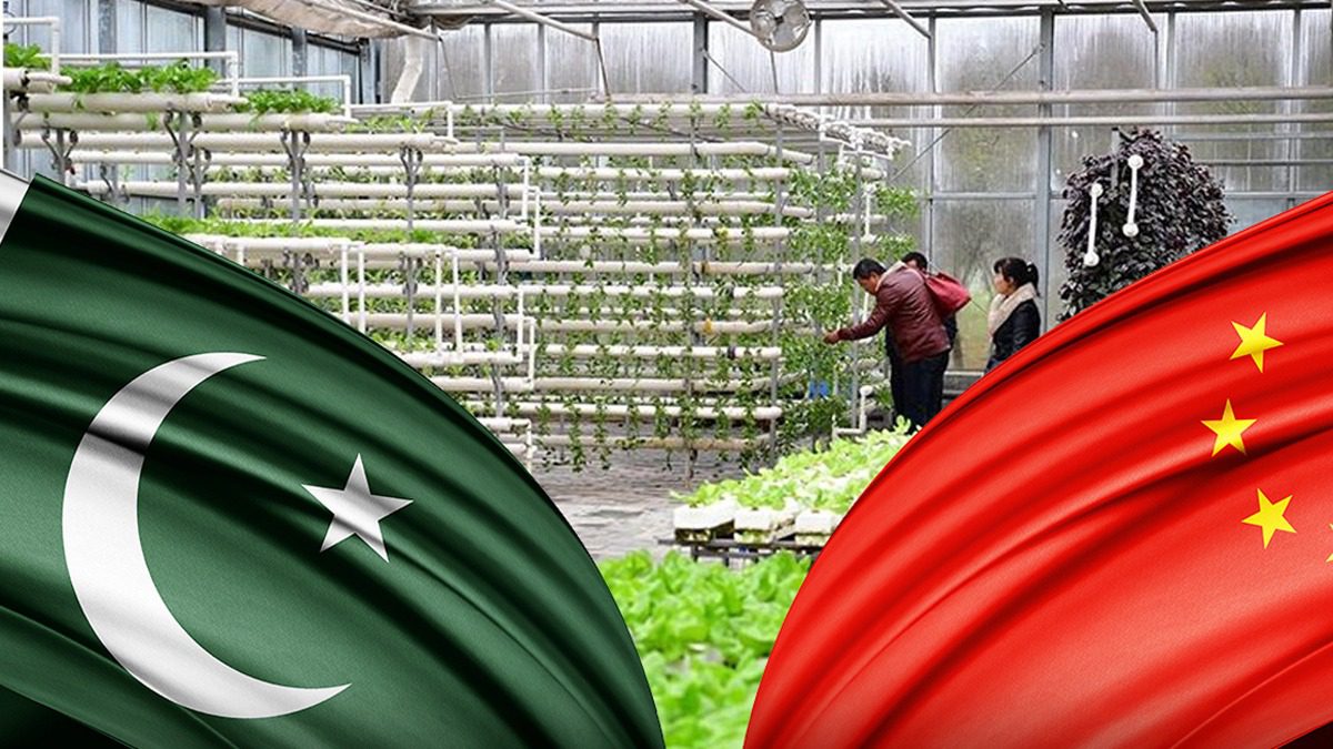 中国和巴基斯坦开展种子技术培训，促进农业合作