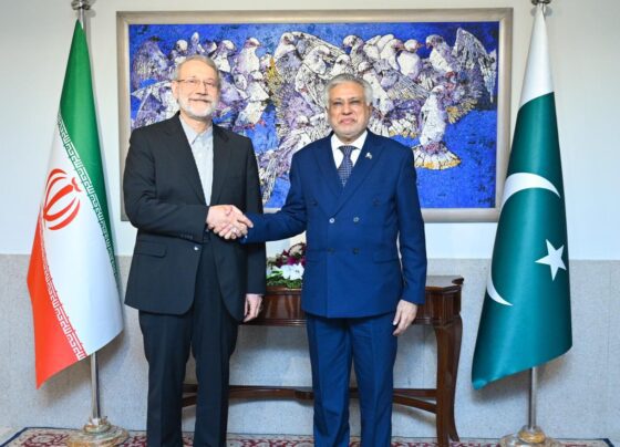 巴基斯坦和伊朗重申深化双边合作的承诺