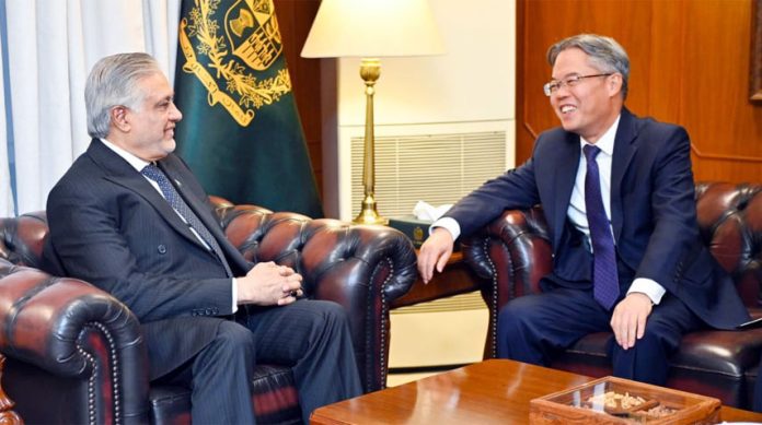 中国驻巴基斯坦大使拜会副总理