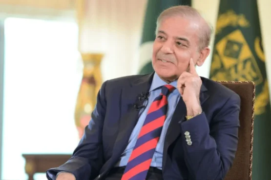 巴基斯坦总理邀请奥地利投资者和企业投资巴基斯坦