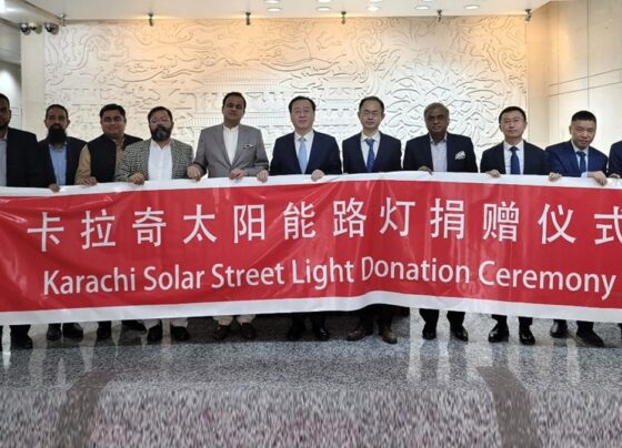 中国向卡拉奇捐赠太阳能灯，帮助缓解电力危机