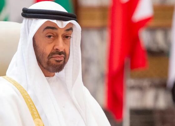 阿联酋总统抵达巴基斯坦