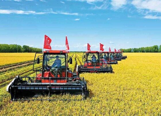 巴基斯坦与中国签署价值45亿美元的农业合作备忘录