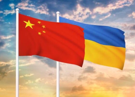 中国呼吁对话、谈判解决乌克兰危机