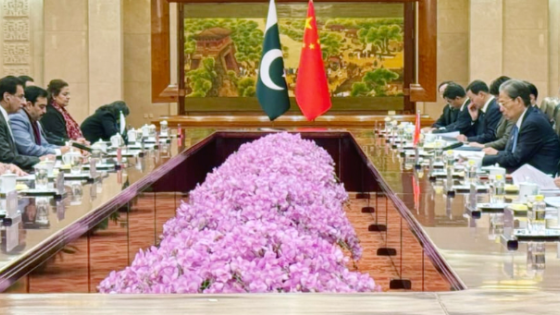 萨达尔·阿亚兹·萨迪克在北京会见了中国最高立法机关代表