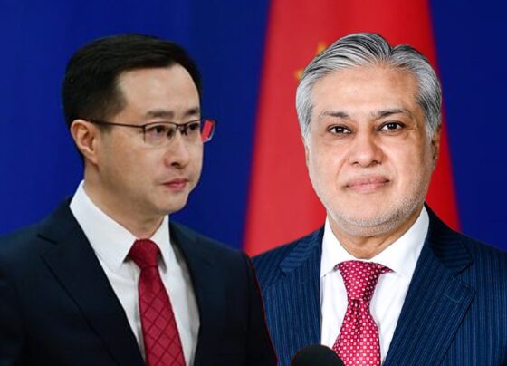 林剑：中国希望通过达尔副总理的访问与巴基斯坦开展合作