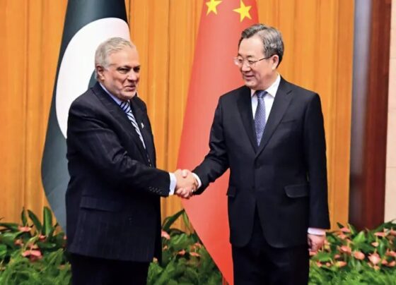 Chinese, Pakistani foreign ministers’ meeting to focus on deepening ties