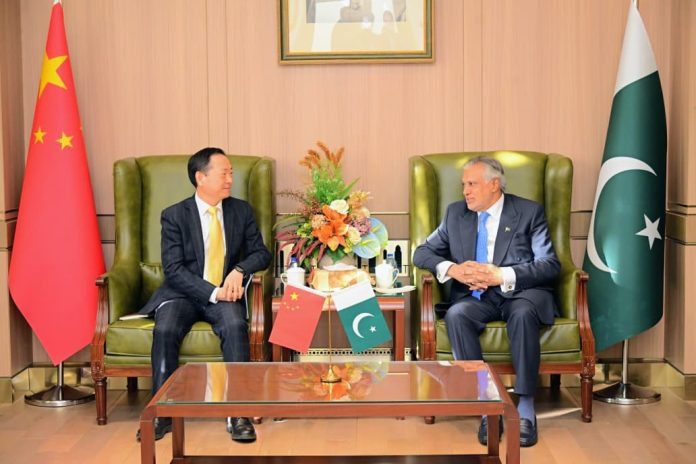 巴基斯坦副总理和CIDCA 主任审查社会经济发展合作