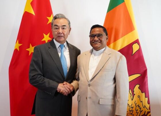 中国与斯里兰卡外长会面