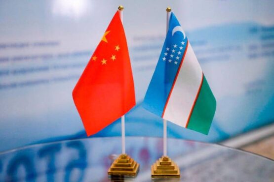 乌兹别克斯坦和中国教育合作伙伴关系的新阶段