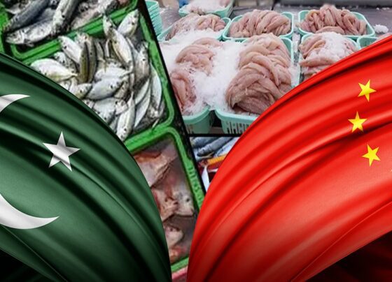 2025年巴基斯坦对中国的海鲜出口额接近2.55亿美元