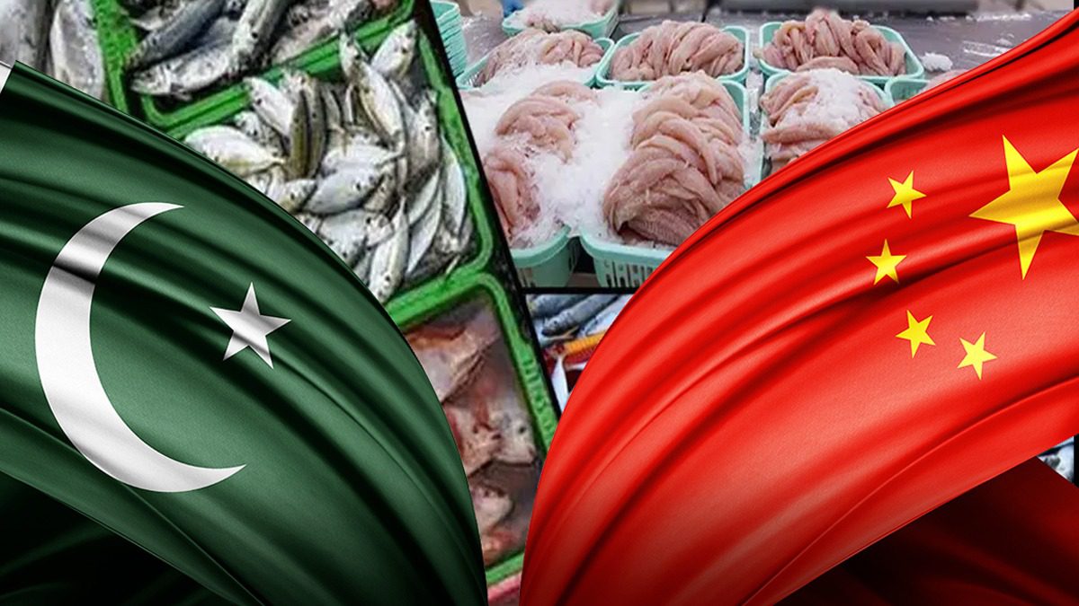2025年巴基斯坦对中国的海鲜出口额接近2.55亿美元