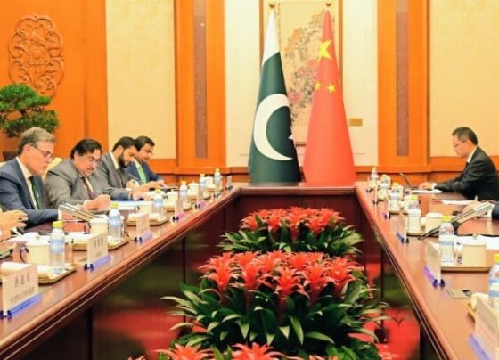 巴基斯坦和中国同意加强高层交流，深化战略沟通