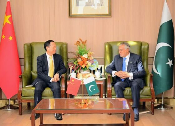 副总理保证政府支持中国公司在矿业领域的投资