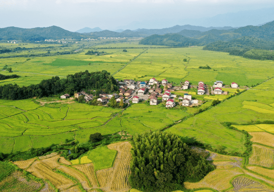 泰国推出全新旅游推广活动