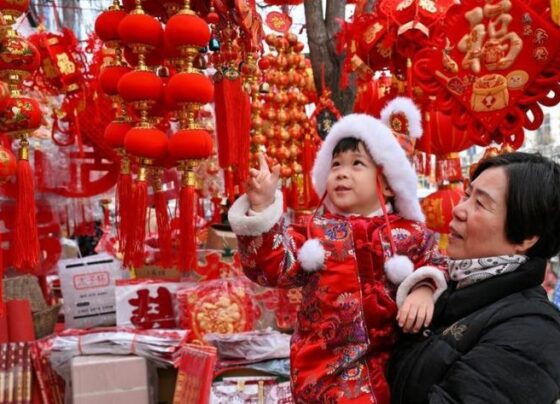 副总理达尔与埃及外长会谈，讨论了双边和地区事务