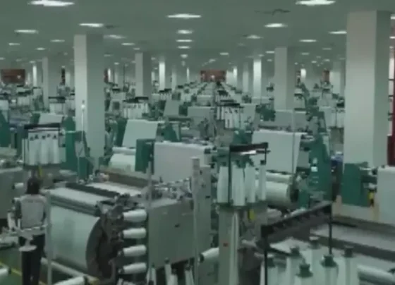 预计到2025年，中国轻工业保持稳定增长