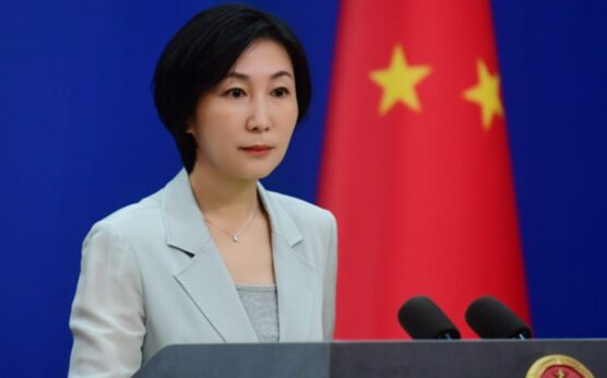 中国寻求深化与德国的合作