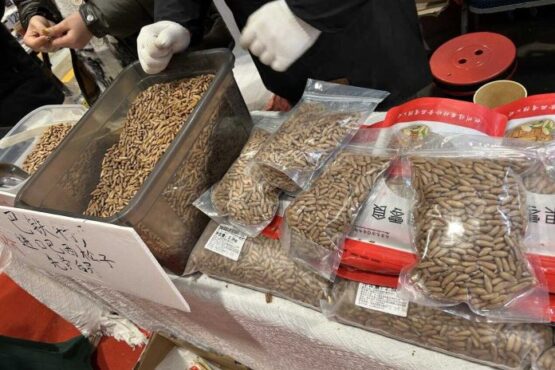 巴基斯坦松子亮相南京春游博览会