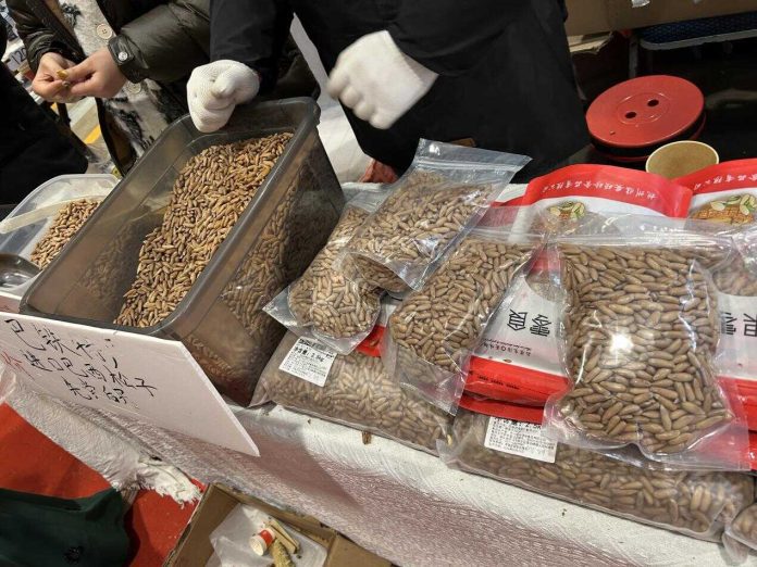 巴基斯坦松子亮相南京春游博览会