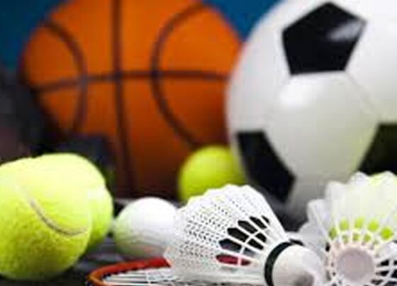 巴基斯坦对华体育用品出口将在2025年大幅增长