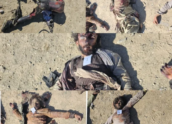 安全部队在俾路支省继续开展行动，死亡人数达到197人