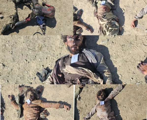 安全部队在俾路支省继续开展行动，死亡人数达到197人