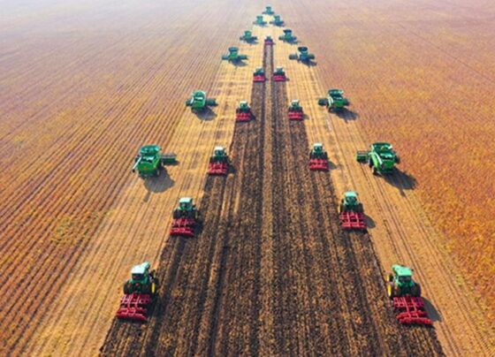 China outlines plans for agricultural modernization, rural revitalization