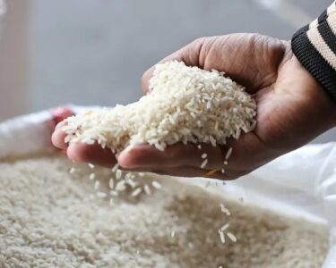 Chinese Agri-Tech Boosts Pakistan’s Rice Exports