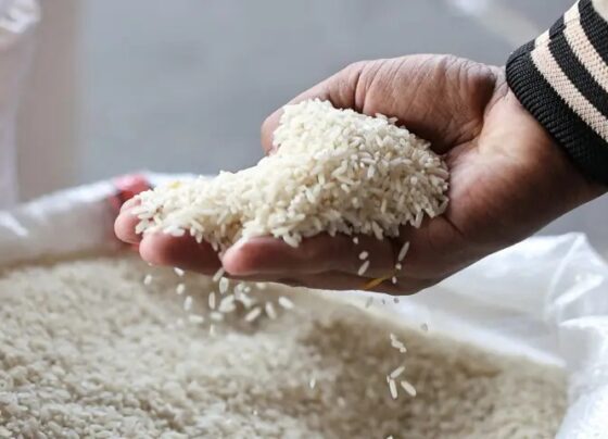 Chinese Agri-Tech Boosts Pakistan’s Rice Exports