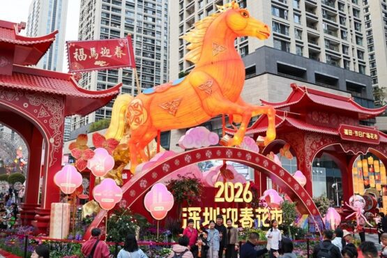 巴中关系植根于文化、人民、繁荣和共同愿景