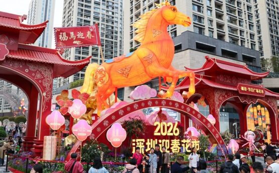 巴中关系植根于文化、人民、繁荣和共同愿景