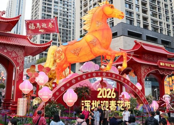 巴中关系植根于文化、人民、繁荣和共同愿景