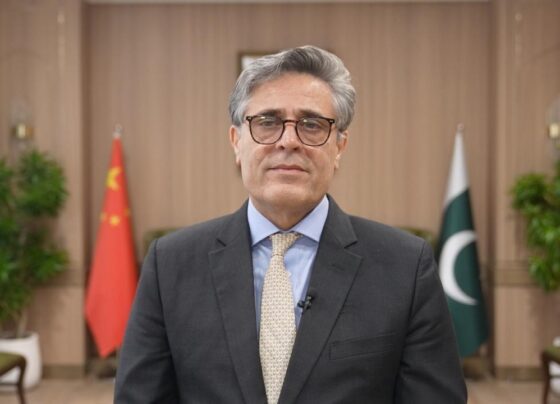 大使哈利勒·哈什米向中国致以春节问候