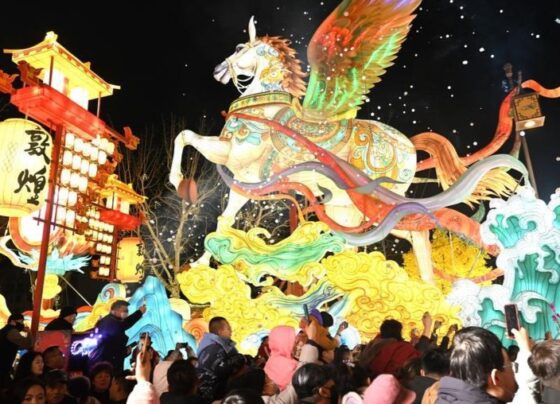 春节假期期间传统文化熠熠生辉