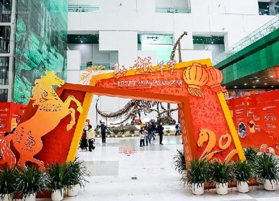 中国博物馆利用科技提升春节氛围