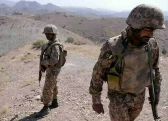 安全部队击毙五名恐怖分子