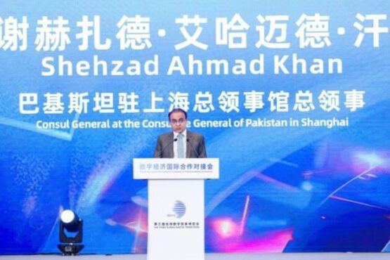 中国“十五”规划助力全球增长