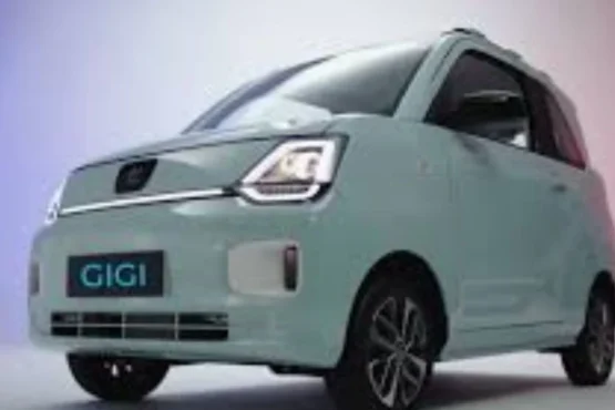 巴基斯坦本地生产的电动汽车将于3月5日开始投产