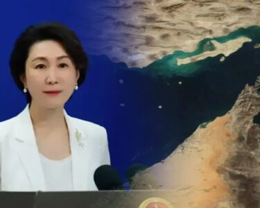 毛宁：维护霍尔木兹海峡地区安全符合国际社会的共同利益