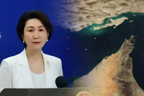 毛宁：维护霍尔木兹海峡地区安全符合国际社会的共同利益