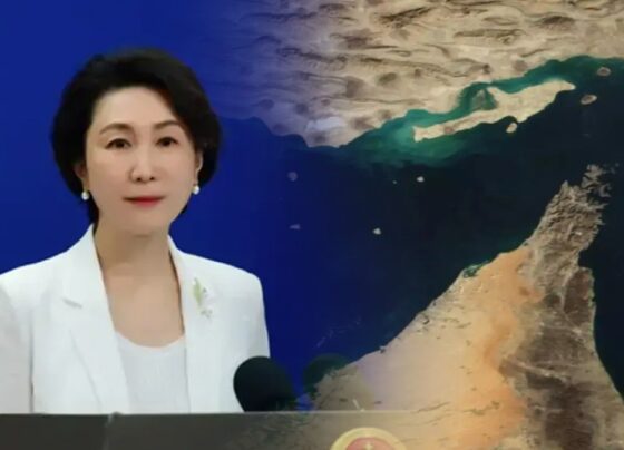 毛宁：维护霍尔木兹海峡地区安全符合国际社会的共同利益