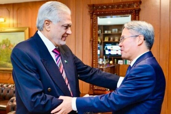 副总理达尔和中国特使强调继续保持密切协调