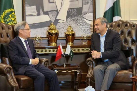Mohsin Naqvi and Chinese envoy agree on special protection unit, business conference for investors