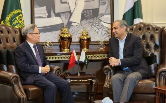 Mohsin Naqvi and Chinese envoy agree on special protection unit, business conference for investors