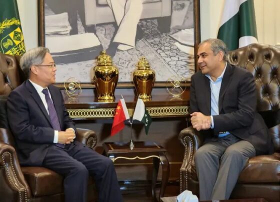 Mohsin Naqvi and Chinese envoy agree on special protection unit, business conference for investors
