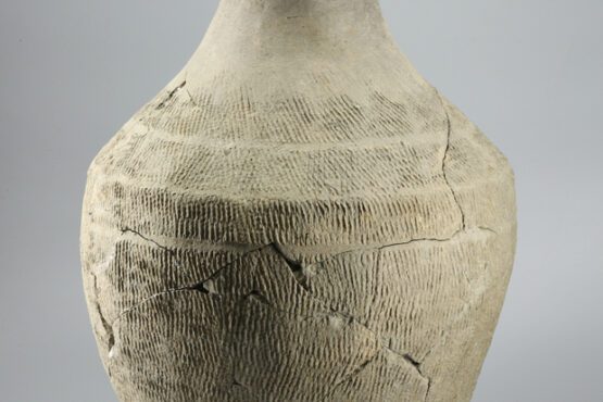 Cultural relics from Western Zhou Dynasty found in NW China’s Shaanxi