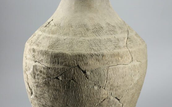 Cultural relics from Western Zhou Dynasty found in NW China’s Shaanxi